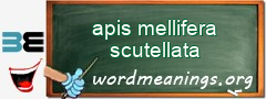 WordMeaning blackboard for apis mellifera scutellata